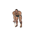 Biceps Curl - Bent Over Resistance Tube Alternate